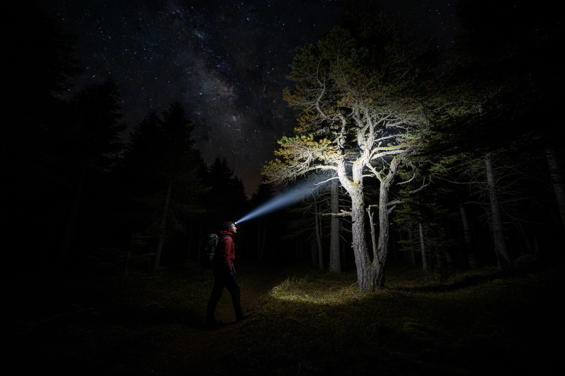 Hiker Side View - Beam on Trees